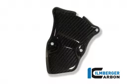 Ignition Rotor Cover Carbon - BMW S 1000 RR Stocksport / Racing (2010-ora)