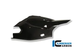 Copribraccia / paracolpi sul top in carbonio - Ducati Multistrada 1200