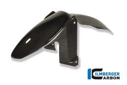 Parafango anteriore Carbon - BMW F 800 R (2009-2014) / GT (2012-ora)