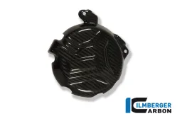 Coperchio Alternatore Carbonio - BMW S1000R (2014-2020) / S1000RR (2010-2018) / HP 4 (2012-ora)