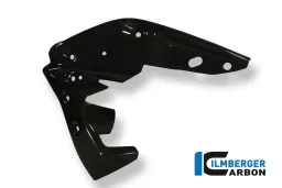Copri radiatore (a sinistra) Carbon - Triumph Speed Triple (2011-ora)