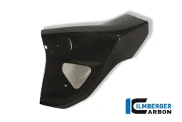 Copriradiatore lato sinistro Carbonio - BMW F 800 R (2009-2011)