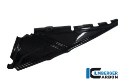 Coperchio del telaio posteriore Carbonio sinistro - BMW R 1200 GS (LC del 2013)