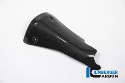 Protezione silenziatore anteriore Carbon - BMW R 1200 R (LC) dal 2015 / BMW R 1200 RS (LC) dal 2015