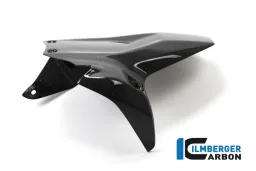 Parafango posteriore lucido Ducati Panigale 1199 / Ducati 1299