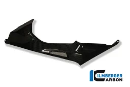 Tank Side Panel (sinistra) Carbon - BMW S 1000 RR Stocksport / Racing (2010-2014)