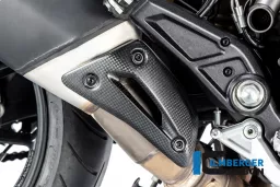 Silenziatore posteriore Protector Carbon - Ducati Hypermotard ab 2013