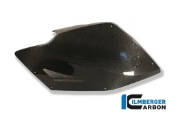 Carenatura laterale pannello destro in carbonio - BMW K 1300 S