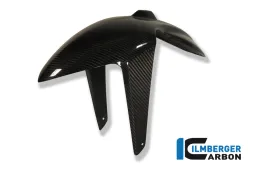 Parafango anteriore Carbon - BMW K 1200 R (2005-2008) / K 1300 R (2008-ora)