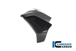 Copriradiatore sinistro lucido Diavel 1260