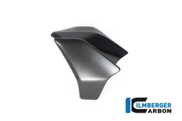 Copriradiatore sinistro opaco Diavel 1260