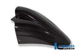 Parafango anteriore Carbon - BMW R 1150 R