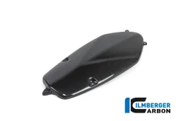 Alternatore Cover Carbon - HP 2 Megamoto (2008-2013) / HP 2 Sport (2008-2012) / R 1200 S (2006-2008)