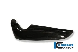 Copriradiatore (a destra) Carbonio - Harley Davidson V-Rod