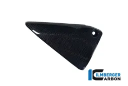 Copertura del telaio triangolare in carbonio a sinistra - BMW R 1200 GS (LC) dal 2013 / R 1200 R (LC) dal 2015 / R 1200