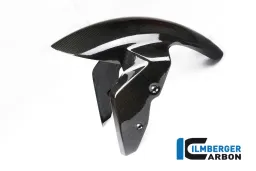 Parafango anteriore Carbon - BMW R Nine T