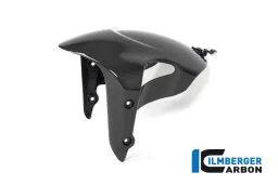 Parafango anteriore lucido Diavel 1260