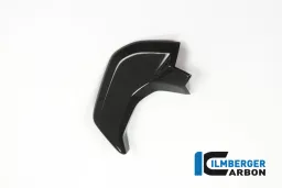 Coprire vicino allo strumento superficie lucida lato sinistro Ducati MTS'15