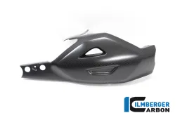 Protezione forcellone Ducati Diavel Bentley opaca
