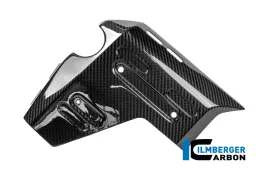 Coperchio radiatore acqua sinistro Carbonio lucido R 1300 GS Adventure