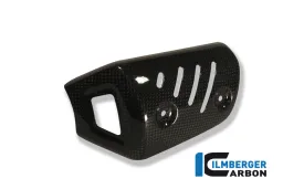 Silenziatore anteriore Protector Carbon - BMW F 800 R (2009-2014)