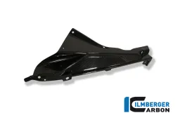 Porta badge superiore pannello laterale carenatura (sinistra) Carbon - BMW S 1000 RR StraÃŸe (2010-2014) / HP 4