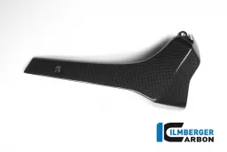 Superficie lucida Bellypan Carbon Ducati Monster 1200/1200 S