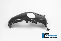 Tank Center Panel Carbon - BMW R 1200 R (LC) del 2015 / BMW R 1200 RS (LC) del 2015