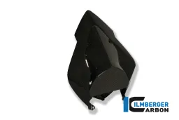 Race Seat Unit Carbon - BMW S 1000 RR Racing