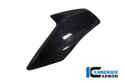 Coperchio radiatore (a sinistra) Carbonio - BMW R 1200 GS (LC dal 2013)