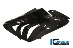 Carenatura laterale Carena (destra) Carbon - BMW S 1000 RR Stocksport / Racing (2012-2014)