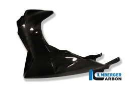 Bellypan Carbon - BMW K 1200 R (2005-2008) / K 1200 R Sport (2007-2011) / K 1300 R (2008-ora)