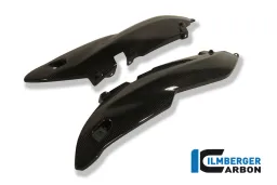 Copri luce posteriore Carbon - BMW R 1200 R (2011-2014)