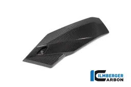 Puntale 2021 lato sinistro BMW S 1000 R 2021