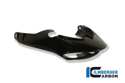 Copri luce posteriore Carbon - Triumph Speed Triple (2011-ora)