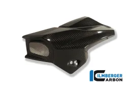 Airtube left Carbon - BMW K 1300 R (2008-ora)