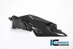 Pannello laterale sotto il serbatoio Left Side Carbon - BMW R 1200 R (LC) del 2015
