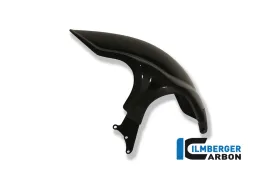 Rear Hugger Carbon - BMW R 1200 R (2011-2014) / R nineT (2014-ora)
