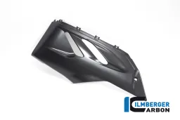 Puntale lato sinistro Panigale V2 opaco