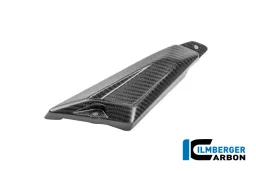 Hinterer Dreieckdeckel für hinteren Rahmen links Carbon opaco R 1300 GS Adventure