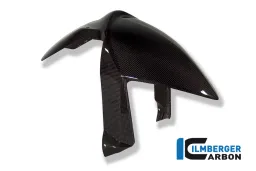 Parafango anteriore Carbon - BMW R 1200 S
