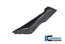 Copertura sotto il cupolino Lato sinistro BMW R 1250 RS