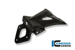 Porta targa Carbon - BMW S 1000 R (2014-ora) / S 1000 RR Street (2010-ora) / HP 4 (2012-ora)