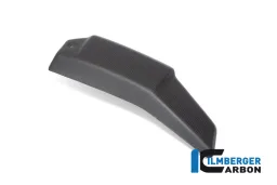 Copertura radiatore sinistra opaca V4 Streetfighter