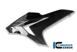 Carena laterale lato destro in carbonio - BMW S 1000 R