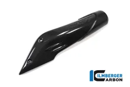 Coperchio canale aria (lato destro) Carbonio - BMW R Nine T