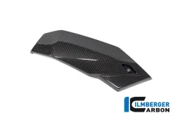 Puntale 2021 lato destro BMW S 1000 R 2021