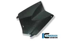 Copribatteria Carbon - BMW K 1200 R (2005-2008) / K 1200 R Sport (2007-2011) / K 1300 R (2008-ora)