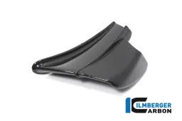 Parafango sinistro lucido Panigale V4 R