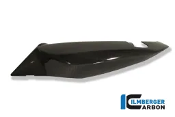 Lato inferiore del pannello laterale sinistro Carbon - BMW F 800 R (2009-2014) / S (2006-ora) / ST (2006-ora) / GT